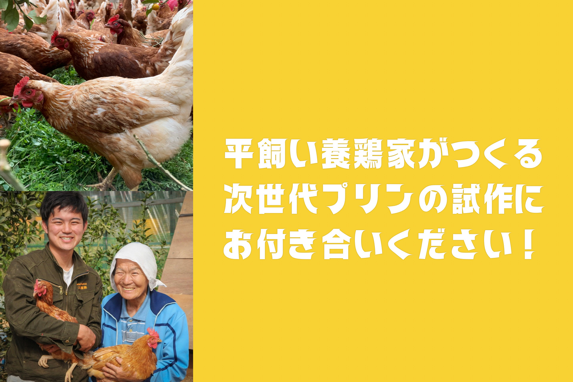 養鶏家